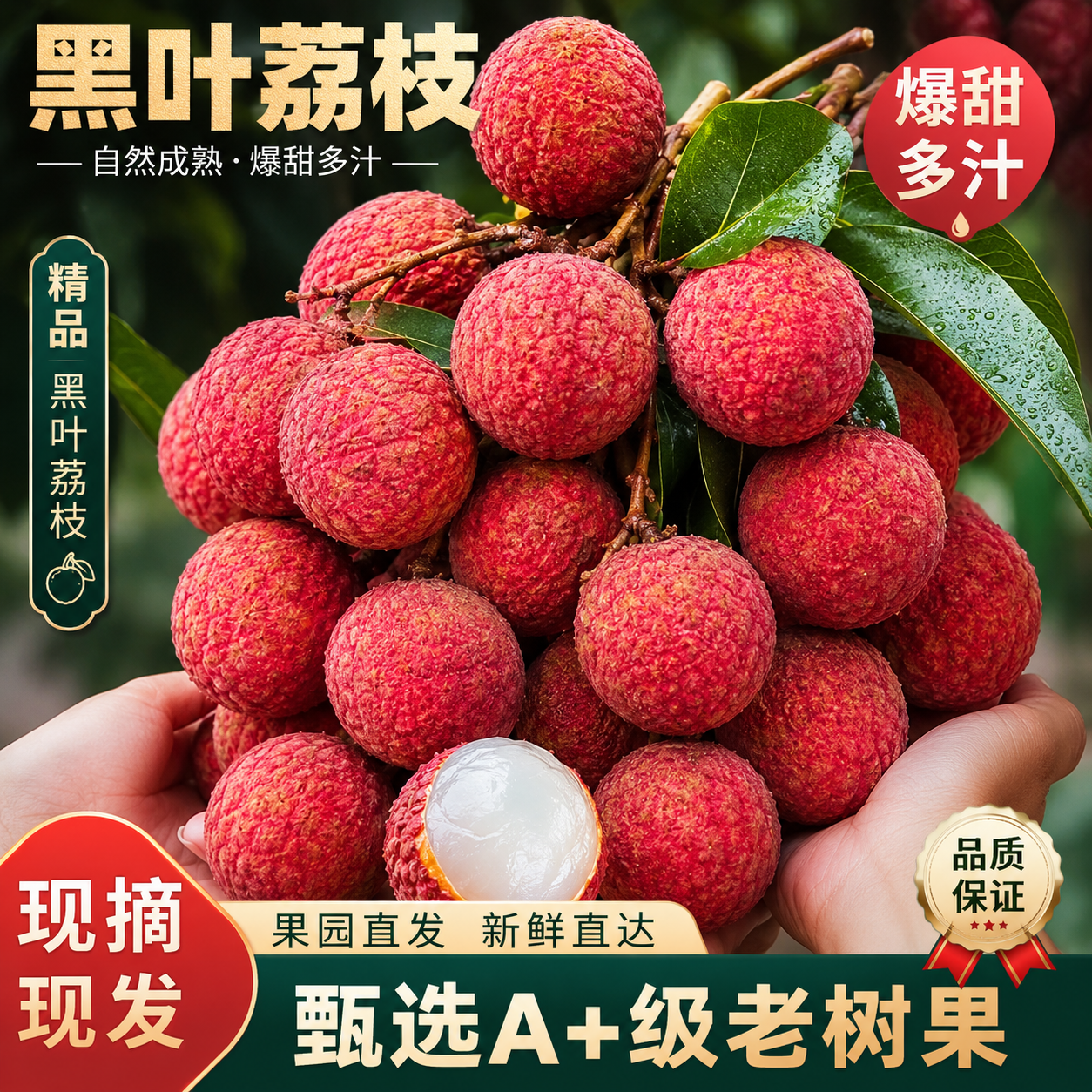 静羽黑叶荔枝净重4.5斤 49.9元 - 线报酷