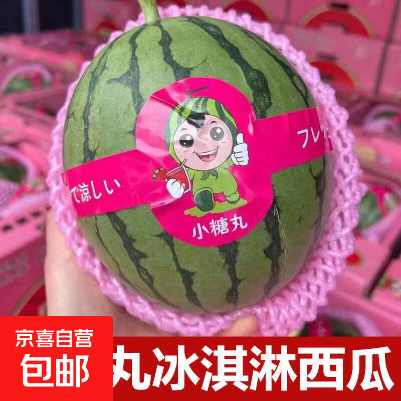 新鲜采摘2k小糖丸西瓜手撕薄皮脆甜西瓜礼盒 5-6斤 仅15.9元 新鲜采摘2k小糖丸西瓜手撕薄皮脆甜西瓜礼盒 5-6斤 仅15.9元