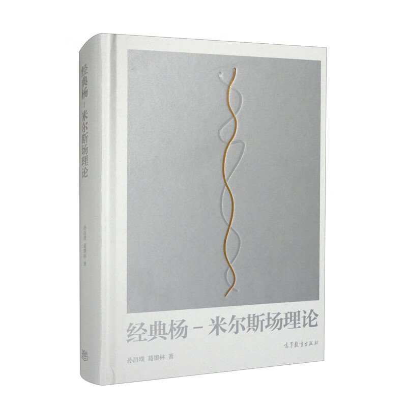 经典杨-米尔斯场理论