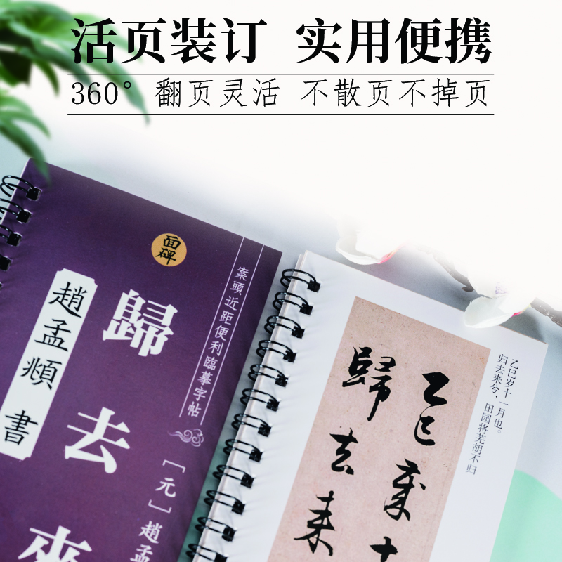 面碑归去来兮辞赵孟頫行书毛笔字帖近距离临摹练字高清复刻线圈本 归去来兮辞赵孟頫行书毛笔字帖