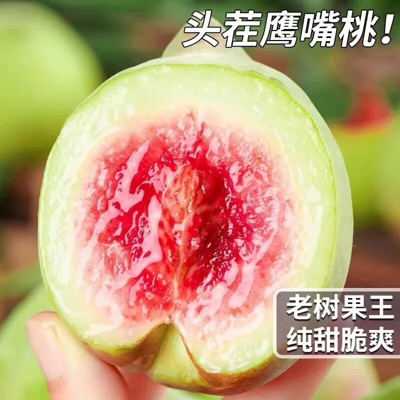 正宗鹰嘴桃新鲜脆桃子应季时令水果当季整箱礼盒甜毛桃非广东连平 品质A级果【香甜】丨单果120-140g（中果） 5斤装【高性价比-限时促销】净4.5斤