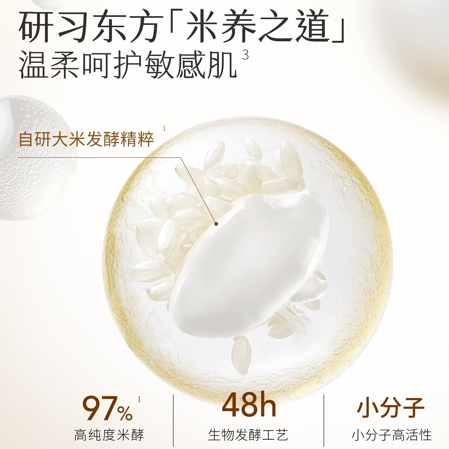 半亩花田(Little Dream Garden) 米酵氨基酸泡泡洁面慕斯洗面奶深层清洁控油敏感肌男女礼物 【超值囤货】米酵慕斯500g*2