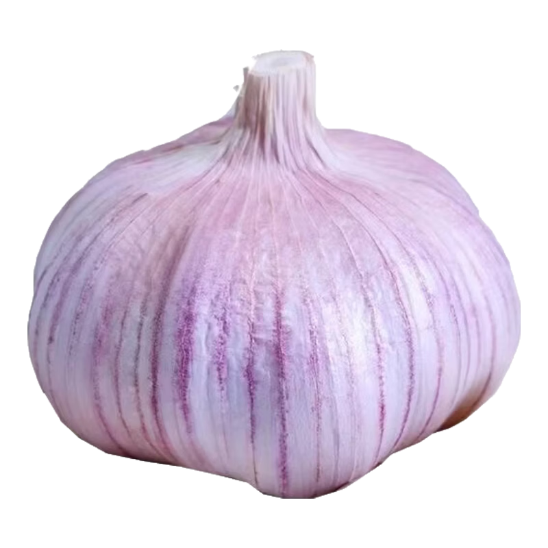ũ�ҽ�����Ƥ���� 4.5���� ��Ʒ5ͷ1.99Ԫ