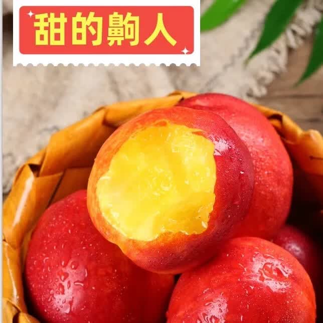 砀山露天油桃新鲜红心油桃脆甜多汁黄肉油桃水果 净重7斤含箱8斤中果