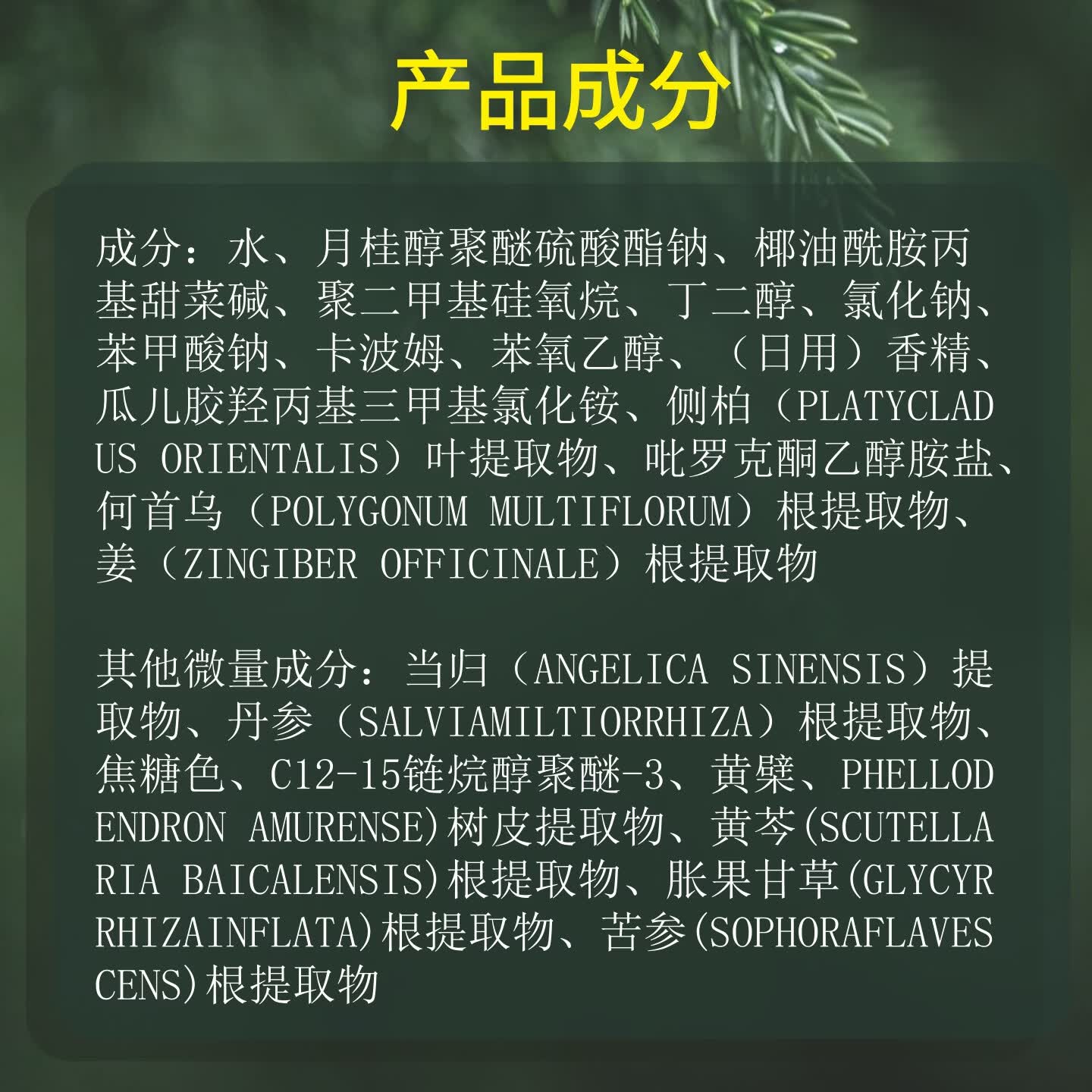 凯丽娜洗头膏男女士防脱发洗发水去屑止痒控油蓬松洗发液露正品官方品牌 防脱洗发水2瓶（买一赠六）