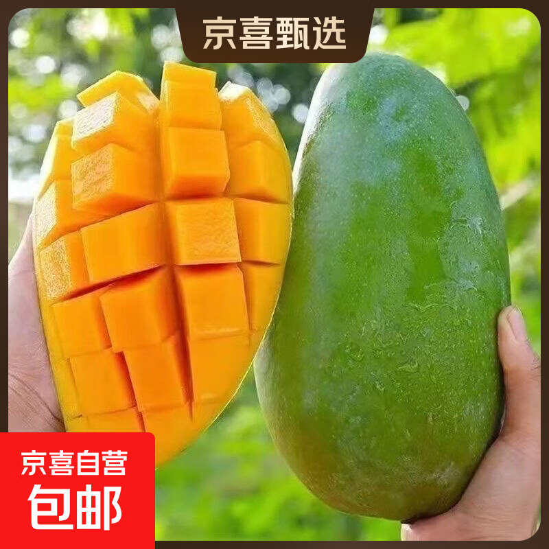 大青芒青黄皮甜心芒生熟两吃玉芒金煌 新鲜水果整箱广西云南发货 带箱2斤净重1.6斤单果100g-300g