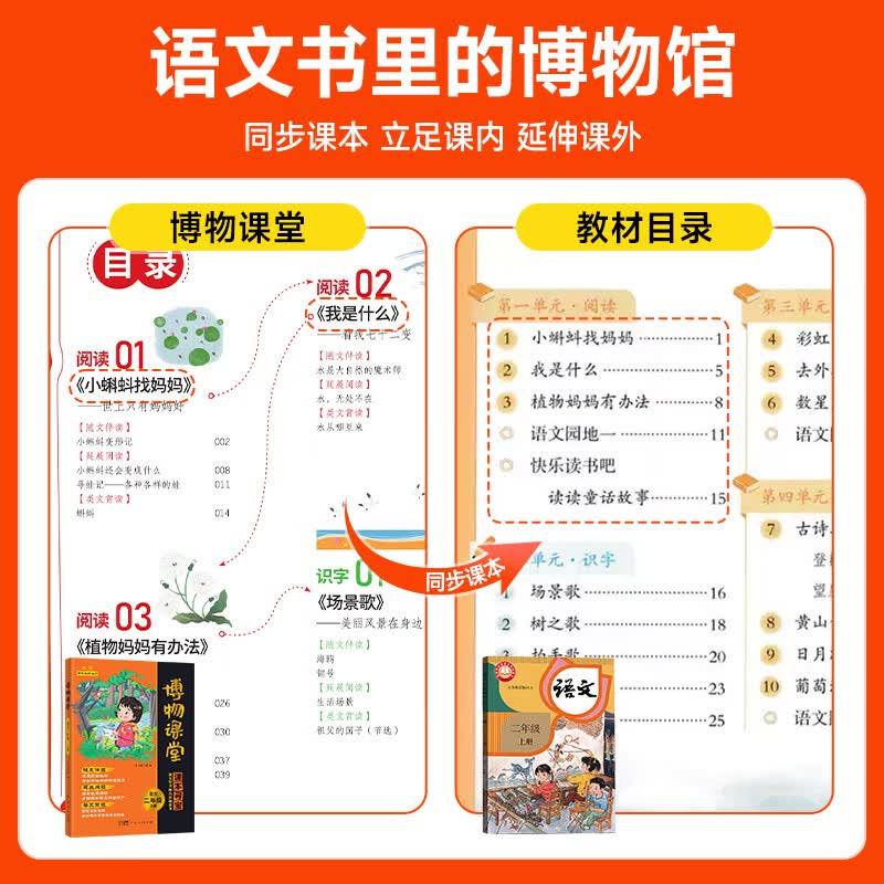 阳光同学2026秋新版博物课堂一二三四五六年级上册小学生语文人教版同步阅读理解寻宝学习儿童大百科全书阅读技能提高课外阅读 3年级上册