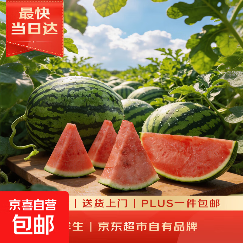 【新品上市】甘美脆甜1号6K站神西瓜脆甜无籽香甜多汁1粒装5-8斤 带箱5-7斤