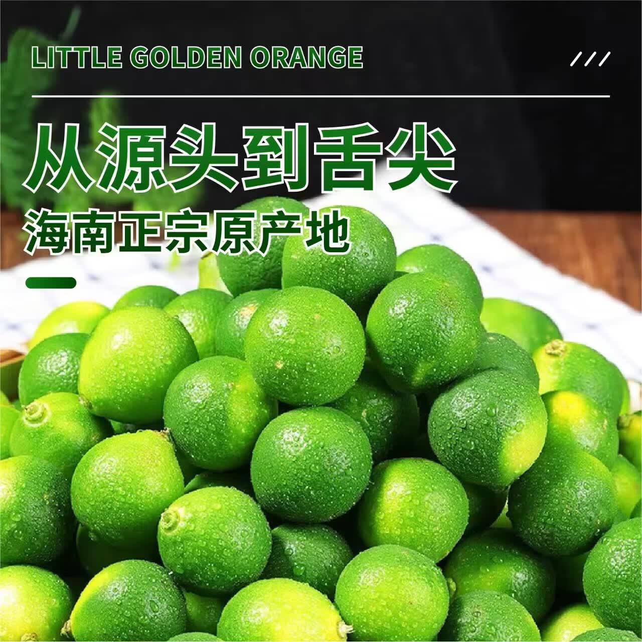 海南小金桔 新鲜水果 2斤大果(10g-20g)