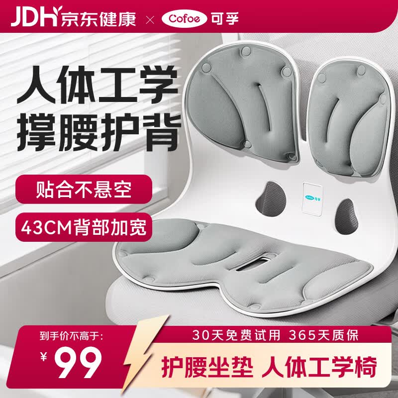可孚护腰坐垫医用级腰部支撑腰肌劳损人体工学椅久坐神器办公室YBQ09