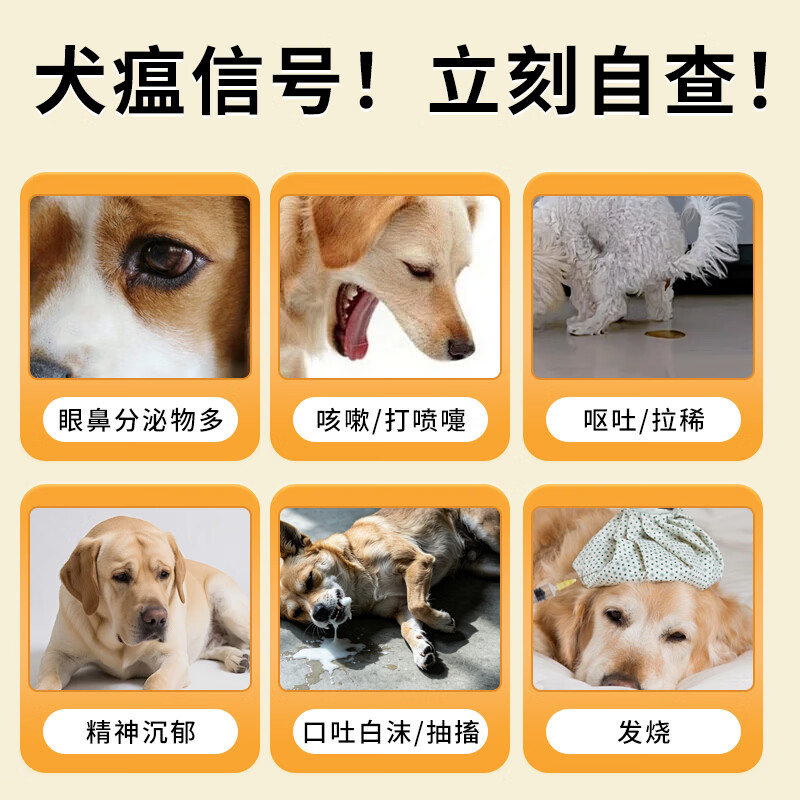 普泰宠物犬瘟热CDV犬细小CPV犬副流感CPIV犬腺12型CAV病毒胶体金检测试纸条幼犬成犬 CDV犬瘟试纸 1条*1盒