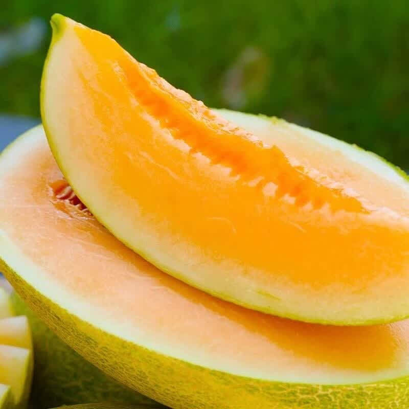 新疆正宗哈密瓜新鲜水果吐鲁番火焰西州蜜25号蜜瓜特产顺丰包邮 【顺丰包邮】2枚7-8斤【哈密直发家庭装】
