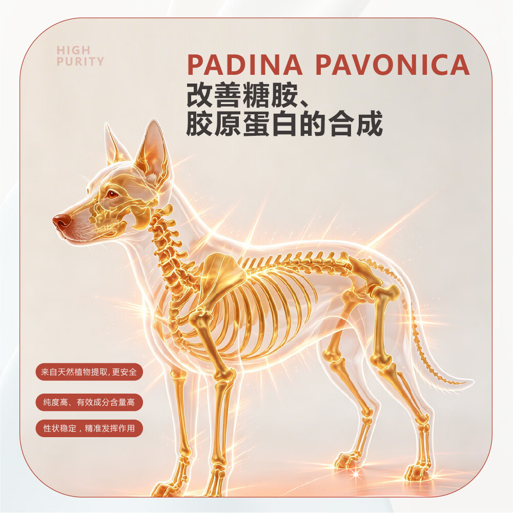 嗨多宝犬用软骨素宠物营养补剂关节素壮骨补钙微量元素鲨鱼软骨素片剂 120粒*1罐