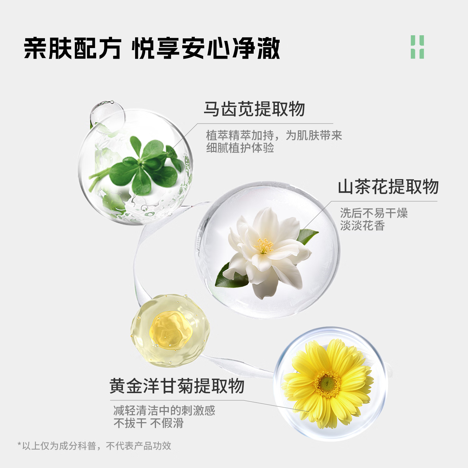 自然攻略氨基酸泡沫洁面慕斯清洁皮肤清爽不紧绷洗面奶去油不糊眼礼物摩丝 100ml 【尝鲜体验】