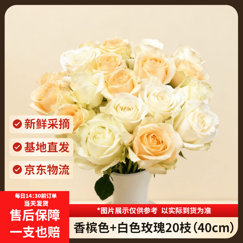 京东鲜花玫瑰花【蜜桃雪山+白色随机】20枝鲜切花基地直发花悦己源头直发