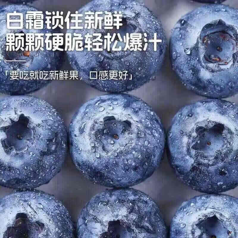 正宗云南高原新鲜采摘蓝莓新鲜水果孕妇宝宝辅食花香蓝莓 蓝莓小果单果18mm+ 高原蓝莓热卖90-115g*8盒装