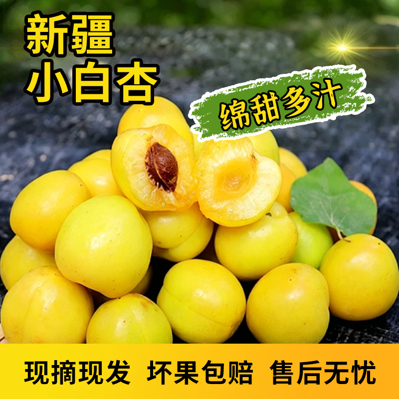 新疆小白杏轮台新鲜水果库车白杏子甜杏特产当季整箱胜小红杏 轮台小白杏3.5斤