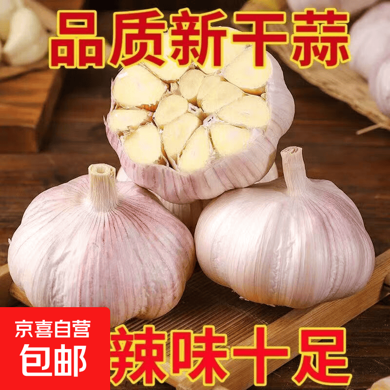 2026【产地直发】金乡紫白皮蒜精品大蒜调味料蒜瓣单果4.0-4.5cm 【实惠】5斤4.0-4.5公分2300g