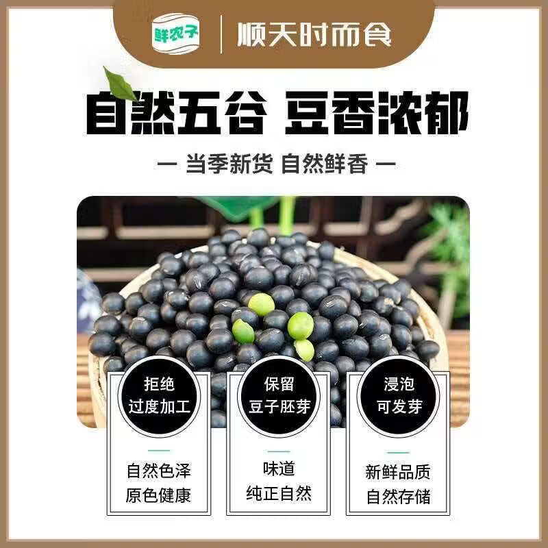 同仁堂(TRT)东北寒地黑土绿芯黑豆 当年新粮不打蜡不染色皮薄饱满杂粮 东北特级精品黑豆净重 250g*4罐