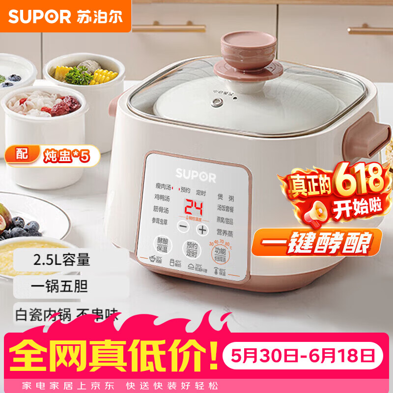 苏泊尔（SUPOR）电炖锅 电炖盅家用煲汤锅炖汤锅 隔水炖锅 煲汤专用电锅全自动陶瓷炖汤盅 DZ25YC828