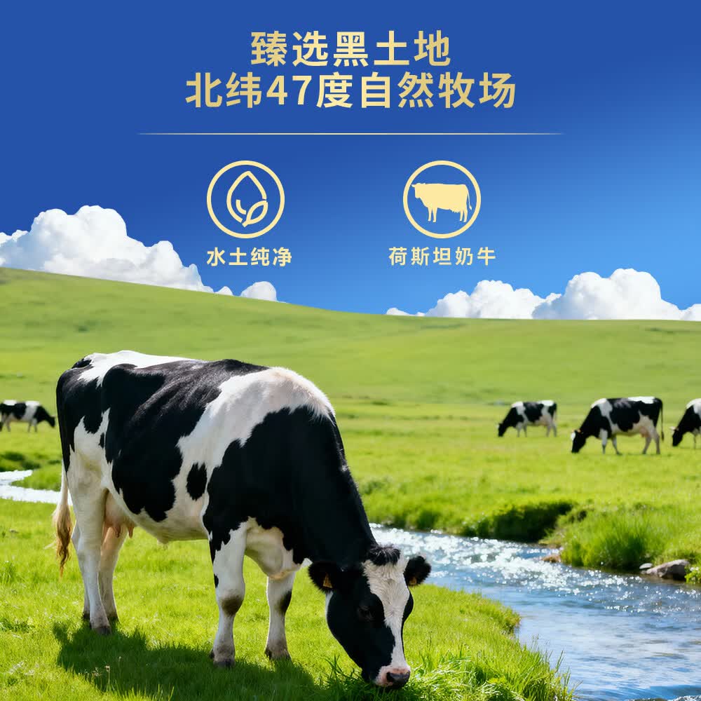 太子乐(Taizile)太子乐北纬至护配方奶粉 2段800g/罐【新客首罐赠1罐400g】 2段 【购6罐赠1罐800g+1罐400g】 800g 6罐