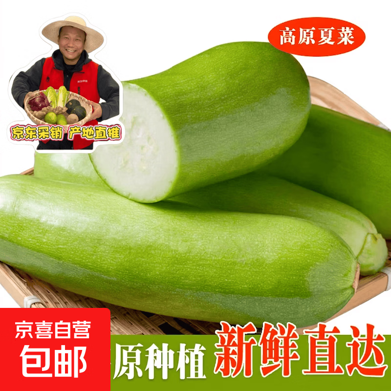 长西葫芦高原夏菜旱地种植长西葫芦菜瓜产地现发角瓜新鲜蔬菜 高原夏菜西葫芦 2斤 带箱