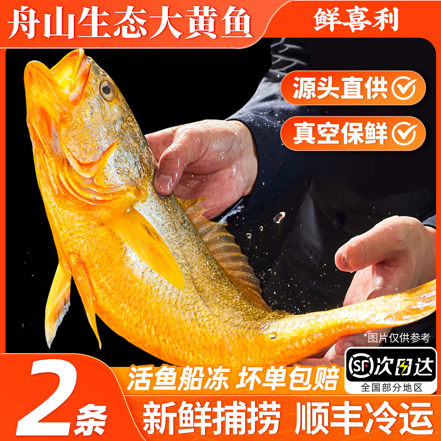鲜喜利舟山大黄鱼礼盒深海黄花鱼鲜活冷冻生鲜海鲜礼包新鲜商用团购送礼 2条无礼盒（单条约1.2斤）