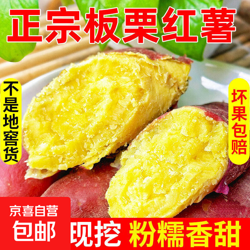 贵州正宗板栗红薯【闪送-多地次日达】粉糯香甜地瓜番薯蔬菜 5斤S+精选装【单果2-6两】 净重4.8斤