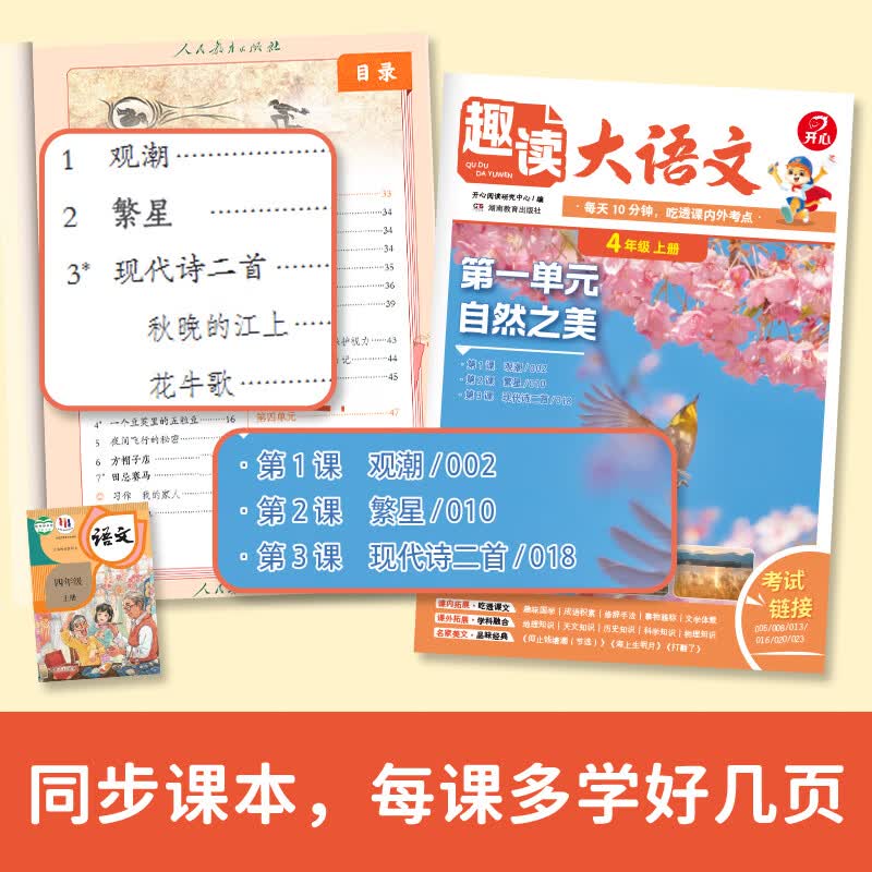 当当开心趣读大语文小学生一二三四五年级上下册同步语文教材课本单元2026秋人教版基础知识点汇总预习拓展美文阅读理解专项训练作文素材百科文学常识 趣读大语文【26秋】 三年级上册