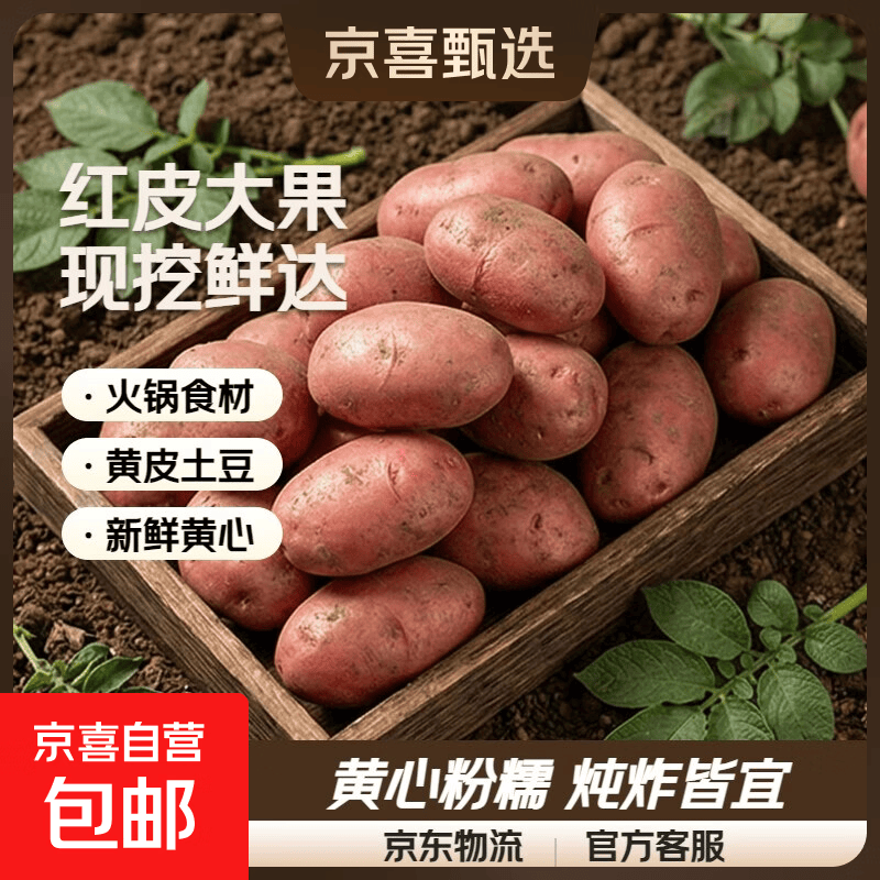 河北红皮大土豆新鲜黄心土豆现挖洋芋地蛋马铃薯粉面火锅批发 红皮土豆大果 9斤净重 【单果150g+】