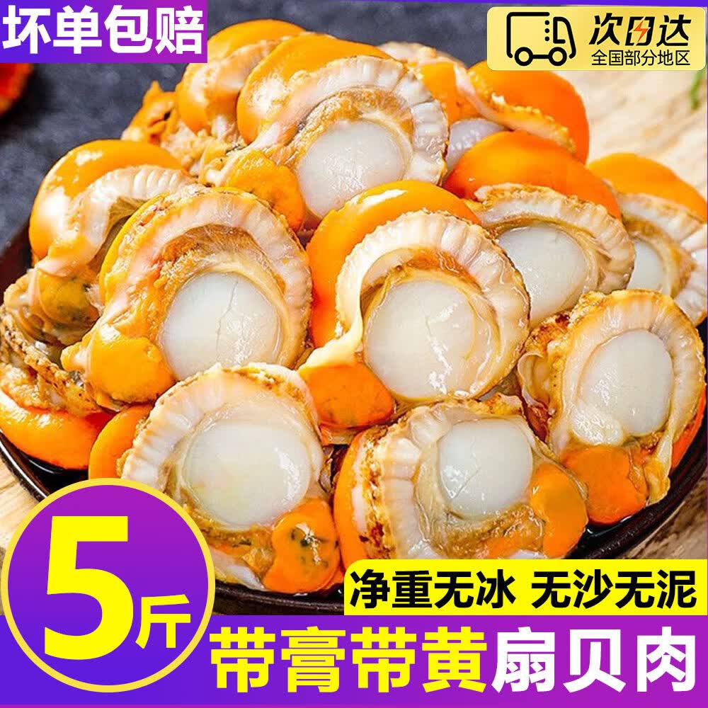 寰球邮鲜扇贝肉新鲜冷冻特大号带黄带膏商用海鲜水产红贝批发黄蚬子鲜活 【40/60规格】5斤装