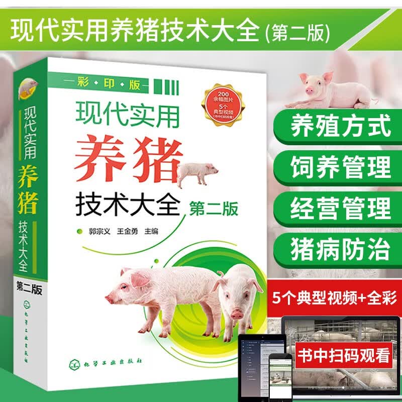 现代实用养猪技术大全 第二版 全面实用养猪技术指导书 养猪关键技术