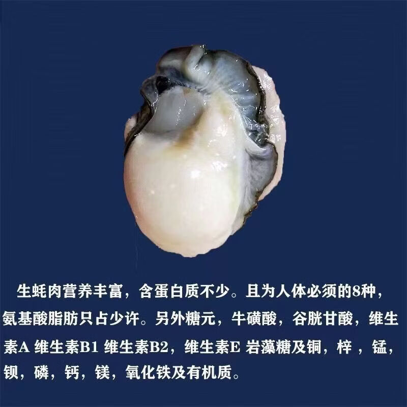 福建小海蛎肉生蚝肉去壳珍珠煎蚝仔煎牡蛎子新鲜砢仔煎火锅煮汤 500g 4盒丨鲜活现剥现发