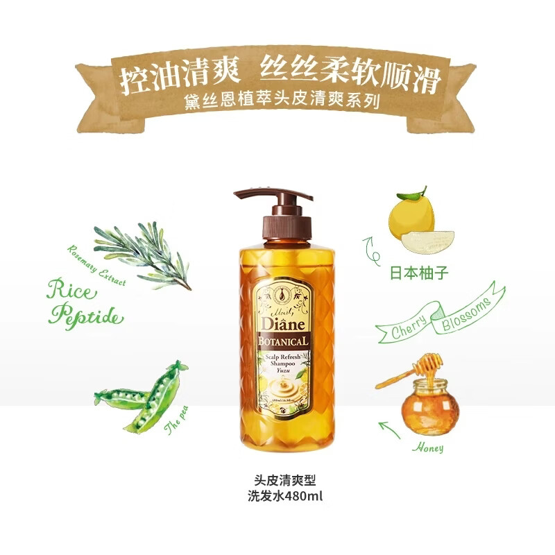 黛丝恩Moist Diane控油清爽头皮洗发水 黛丝恩植萃洗发水头皮清爽480ml 头皮清爽