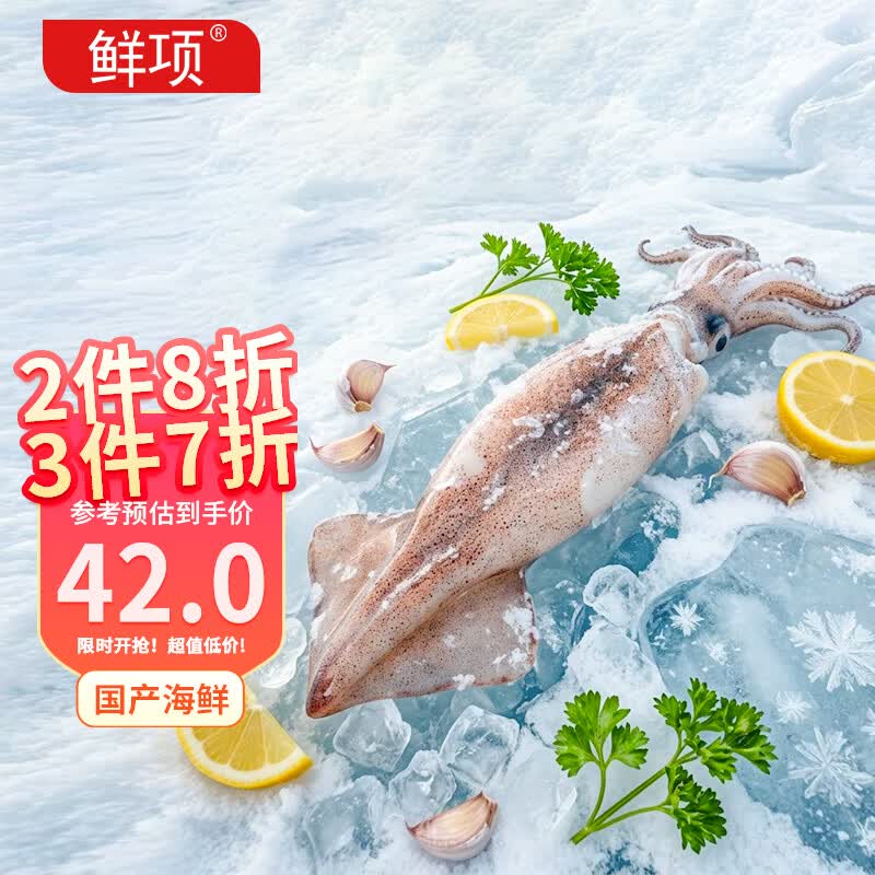 鲜项鲜冻大鱿鱼2-4条净重1.2斤 铁板鱿鱼火锅烧烤食材 海鲜生鲜送礼
