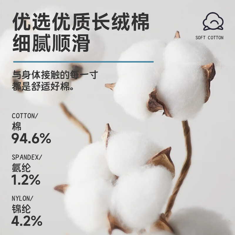 candynut儿童袜子男女童夏季薄款网眼棉袜短筒袜透气休闲运动卡通百搭短袜 恐龙乐园 9-12岁 (XL) 脚长20-23cm,32-36码