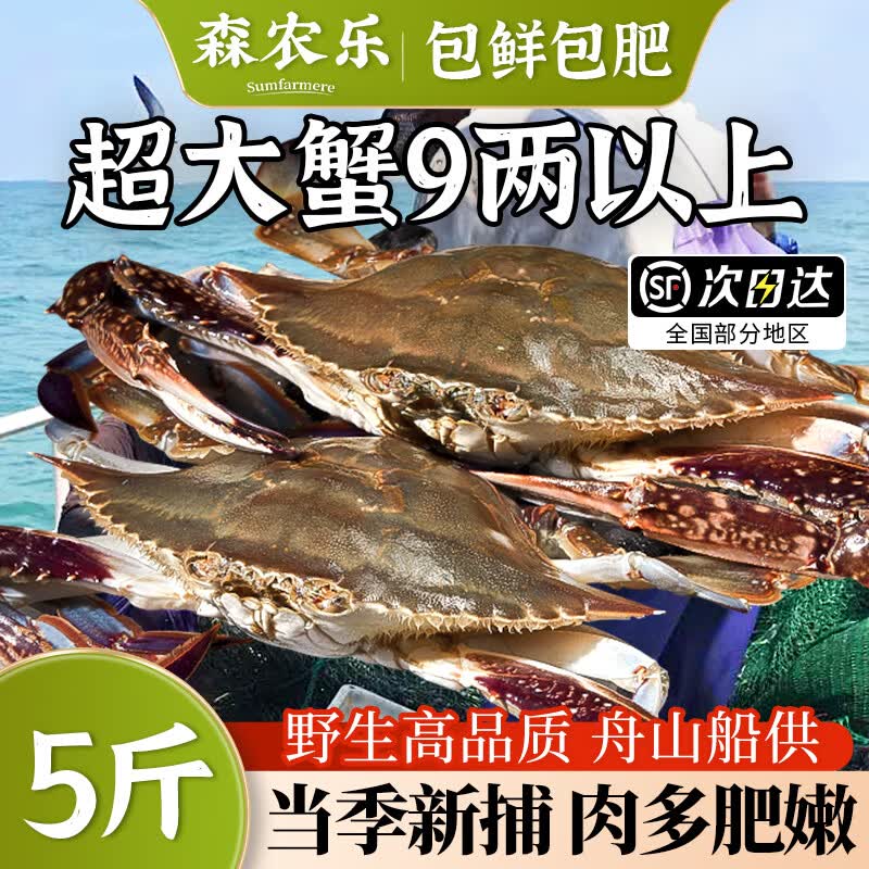 舟山梭子蟹鲜活特大野生大螃蟹新鲜冷冻海鲜水产海蟹飞蟹白蟹顺丰 3-5两/只【3斤净重 当季船供】