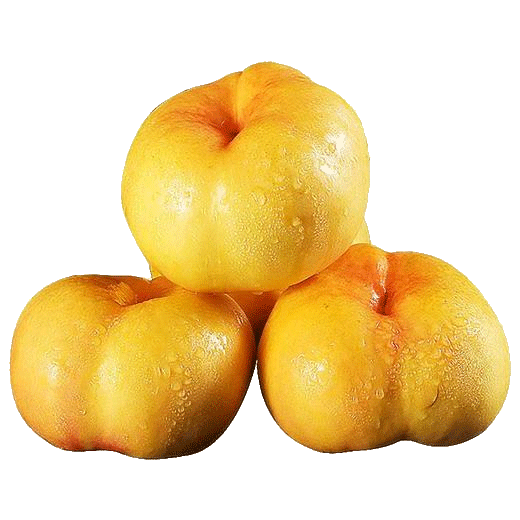 京鲜生蒙阴彩虹蟠桃净重4.5斤单果100g 黄油蟠桃 生鲜应季桃子 源头直发