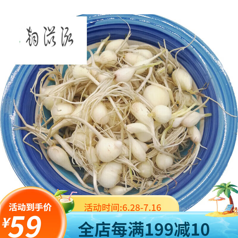 东北野菜小根蒜 1斤装 大脑瓜新鲜蔬菜 大脑蹦浸没菜山蒜野蒜