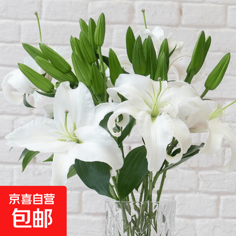 玫瑰百合向日葵云南鲜花生活鲜花昆明鲜花花束源头直发鲜花速递2 白百合10朵（3-4枝）