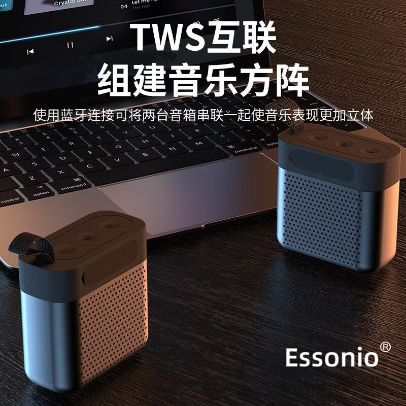 ESSONIO品牌5.3蓝牙音箱小巧便携式重低音炮IPX7防水可运动户外可家用插卡迷你型户外小音响 黑色【迷你便携+IPX7防水】