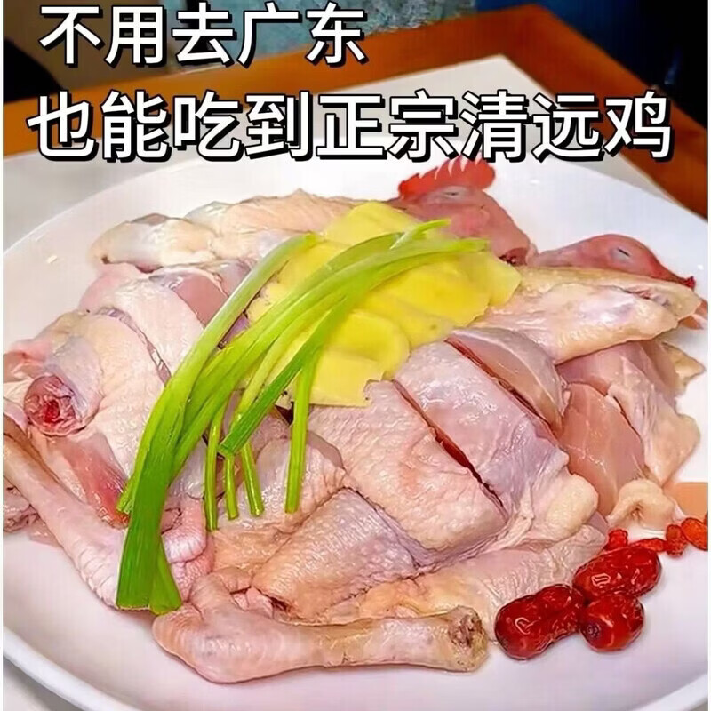 顺丰直达清远鸡宫清皇清远鸡黄鸡黄油鸡土鸡白切鸡烤鸡盐焗鸡食材 一只重2.65-2.75斤