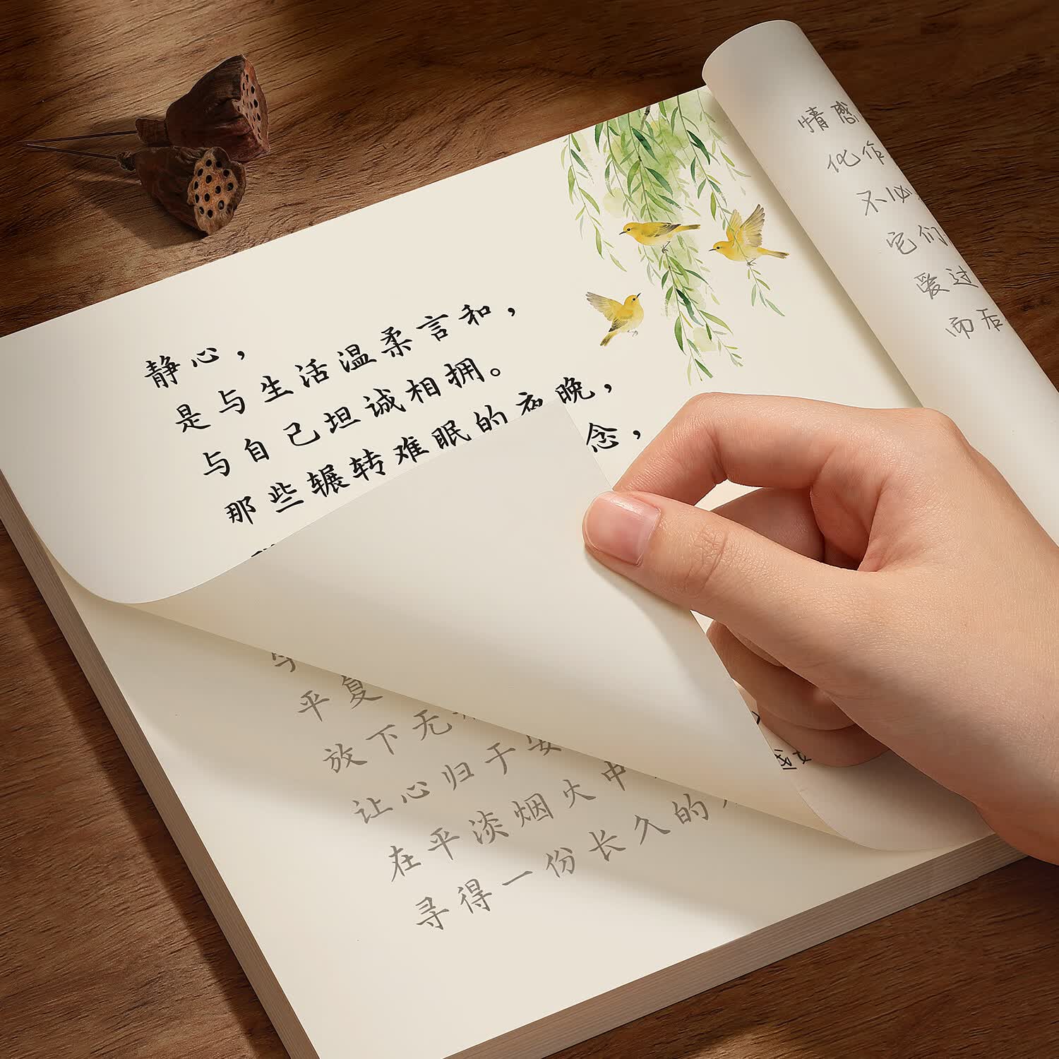 汉状元书院智慧语录字帖成人练字静心修心行楷手写体行书练字帖女生楷书专用钢笔字贴大学生硬笔书法练字本 【1本】情感/72页 无练字套装