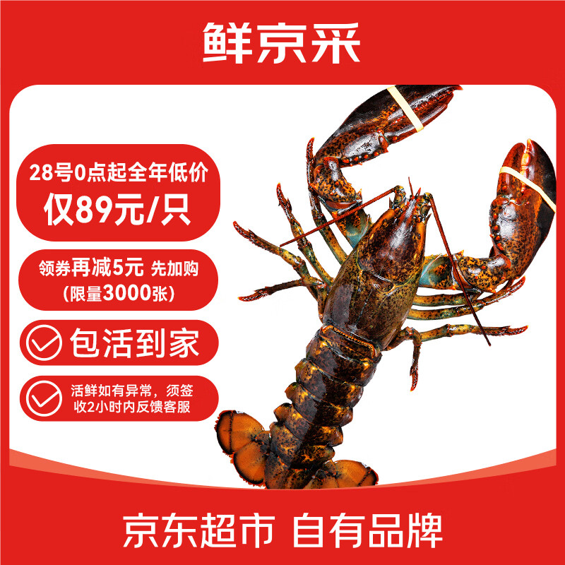 鲜京采 鲜活波士顿龙虾 净重400-500g/只 源头直发 保活到家