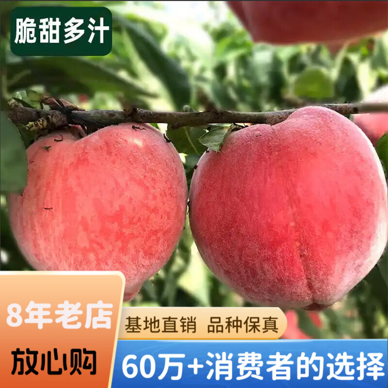 欧悟 早熟桃树苗 嫁接桃子苗 南方北方种植特大突围桃盆栽地栽果树苗 十年苗结果多