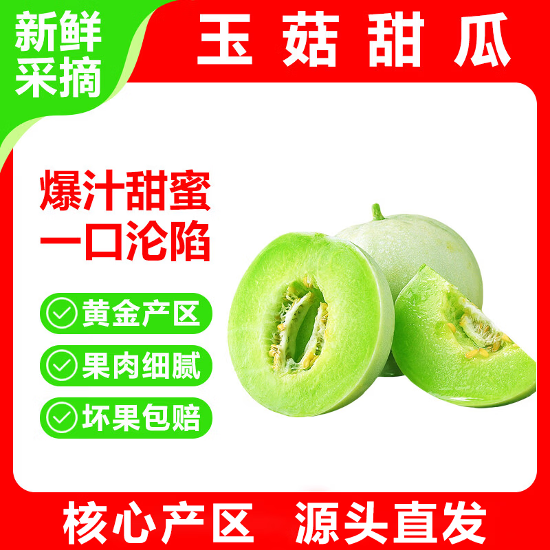 优趣农新鲜玉菇甜瓜 生鲜水果甜瓜 产地直发 优选果净重4.5-5斤【1-3个】