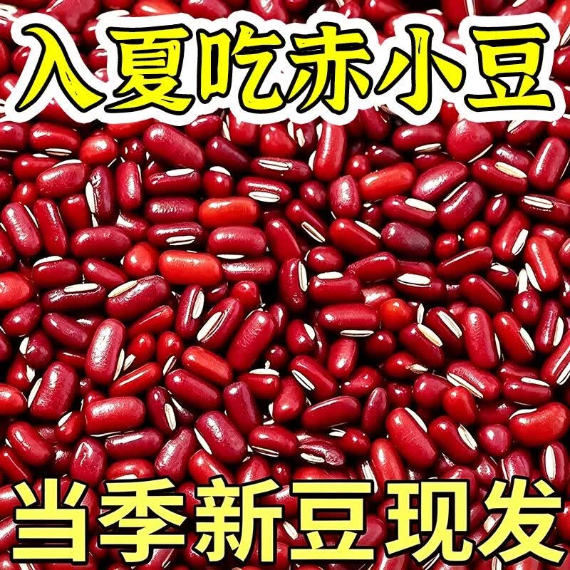 同仁堂胖东来同款正宗东北野生长粒赤小豆特级新货杂粮祛湿利水煮粥干货 有机赤小豆 280g*4罐