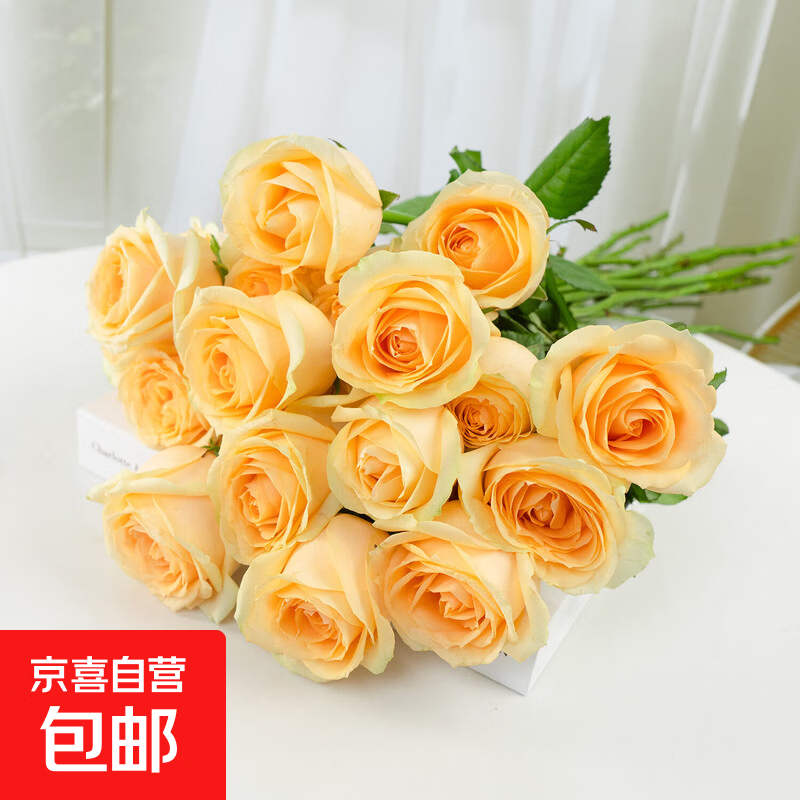 玫瑰百合向日葵云南鲜花生活鲜花昆明鲜花花束源头直发鲜花速递2 香槟玫瑰10枝40-45cm