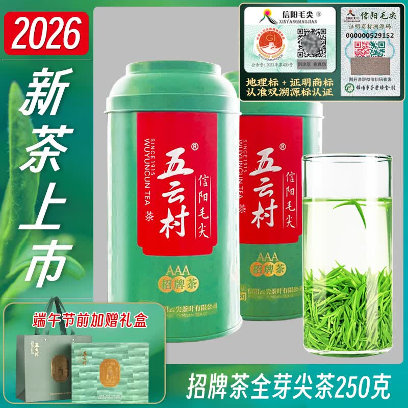 五云村2026新茶信阳毛尖茶叶绿茶春茶嫩芽特级250g源头直发