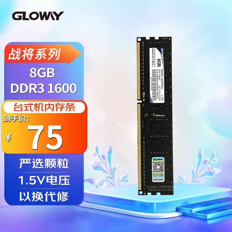 光威（Gloway）8GB DDR3 1600 台式机内存条/战将系列属于什么档次？